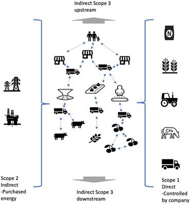 Decarbonising our food systems: contextualising digitalisation for net zero